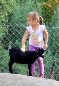 Park Mirakulum  &#8211; 10 hektarů zábavy i poznání pro celou rodinu
