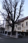 Exkurze do cukrovaru Dobrovice