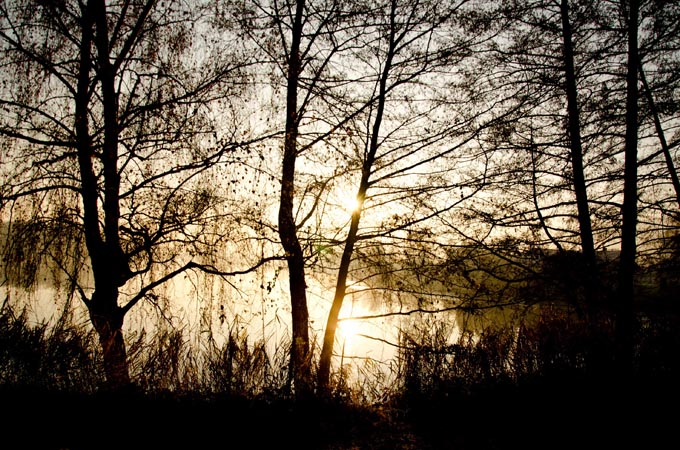 Šumava