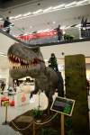 Tip na výlet-dinosauři Mladá Boleslav