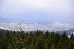 Rozhledna Černá Studnice