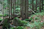 Jizerské hory – ideální pro dovolenou s dětmi. Kde a co?
