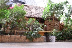 Nezapomenutelné atrakce v Tropical Islands
