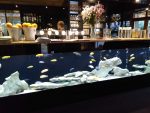 Restaurace Botta caffe ve Vrchlabí nemá chybu!