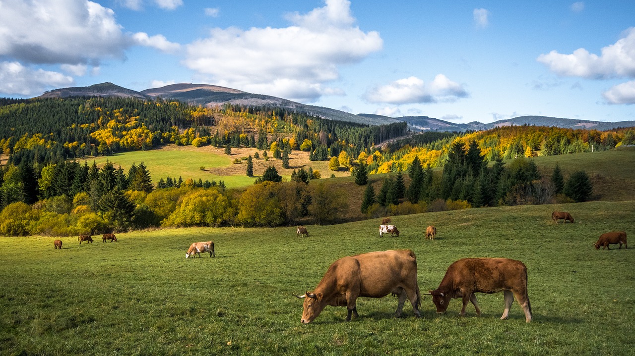 Cestování pro gurmány-Slovensko