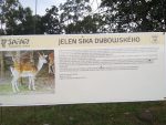 Rozhledna a naučná stezka Na Skalce u Vrbna pod Pradědem