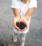 Rozhledna a naučná stezka Na Skalce u Vrbna pod Pradědem