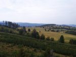 Rozhledna a naučná stezka Na Skalce u Vrbna pod Pradědem