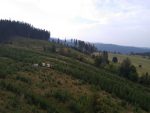 Rozhledna a naučná stezka Na Skalce u Vrbna pod Pradědem