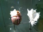 Muzeum přírodních věd Muse v italském Trentu