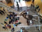 Muzeum přírodních věd Muse v italském Trentu
