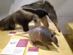Muzeum přírodních věd Muse v italském Trentu