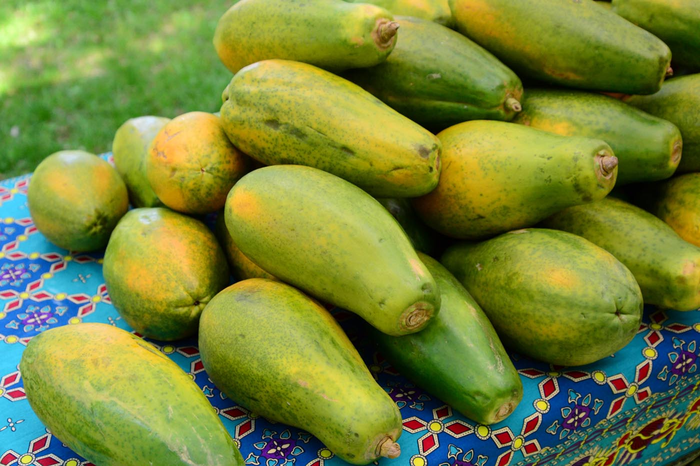 Africké trhy také v ČR