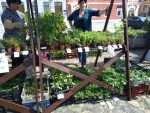 V neděli proběhl historicky první kadaňský Food festival